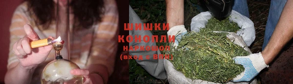 крисы Бородино