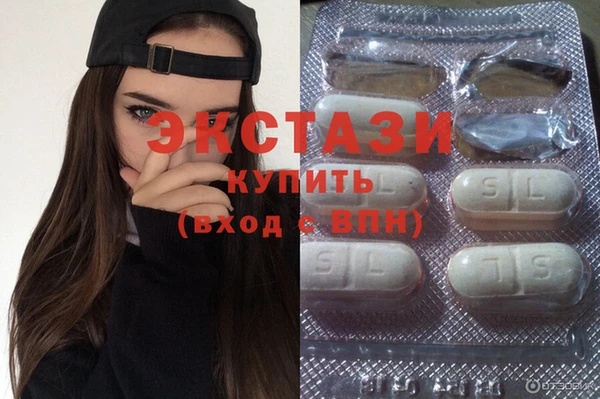крисы Бородино