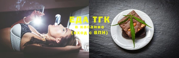крисы Бородино