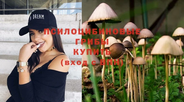 стаф Верхнеуральск