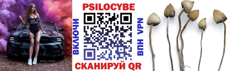 Псилоцибиновые грибы Psilocybine cubensis  Грайворон 
